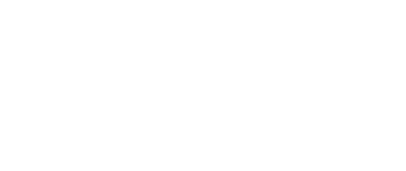 APIBIZ